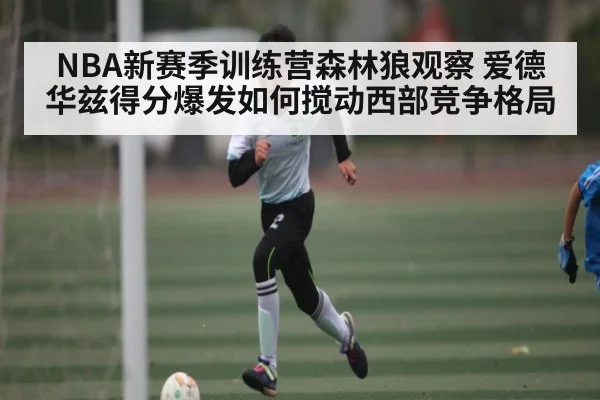 NBA新赛季训练营森林狼观察 爱德华兹得分爆发如何搅动西部竞争格局 | Xingkong yule