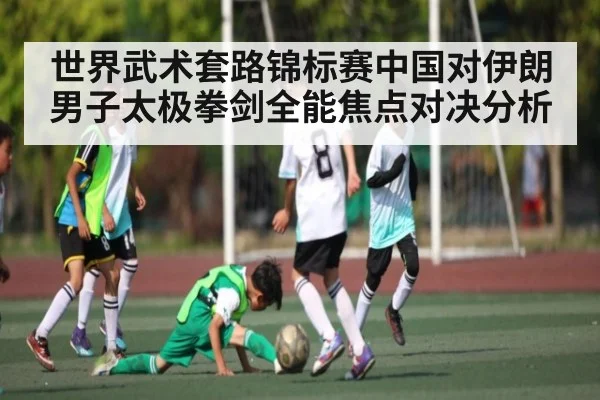 世界武术套路锦标赛中国对伊朗男子太极拳剑全能焦点对决分析